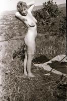 cca 1970 Piknik, 13 db vintage negatív, szolidan erotikus felvételek, 24x36 mm