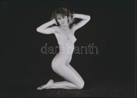 cca 1973 Egy sötét színpad fényes csillaga, 5 db szolidan erotikus fénykép, korabeli negatívokról ké...