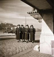 cca 1962 MAHART hajók és női matrózok új egyenruhában, 5 db vintage negatív Kotnyek Antal (1921-1990...