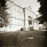 cca 1940 Budapest, Lipótmező, 31 db vintage fotó (6x6 cm) és 4 db vintage negatív (6x6 cm), egy ápol...