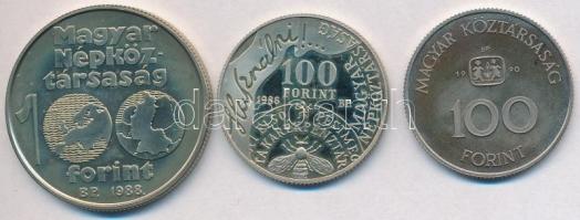 1986. 100Ft alpakka "Fáy András" + 1988. 100Ft alpakka "Labdarúgó Európa-bajnokság&qu...