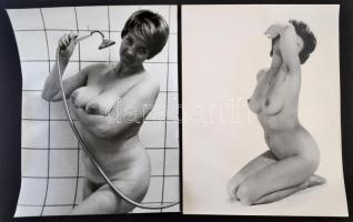 cca 1972 Aktfotók, 4 db vintage fotó, 40x30 cm / 4 nude photos, 40x30 cm