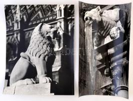 cca 1970 Budapesti oroszlánok, 4 db jelzett vintage fotó, 39x26 cm