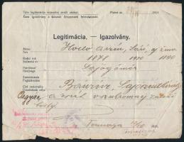1919 Igazolvány, a csehszlovák hatóságok által kiállítva, utazási célra, Bánréve, Osgyán, Sajószentk...