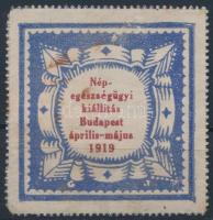 1919 Népegészségügyi Kiállítás Budapesten levélzáró (R)