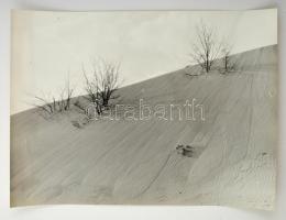 cca 1963 Krisch Béla (?-?) kecskeméti fotóművész 3 db vintage fotója a Kecskemét környéki homokdűnék...