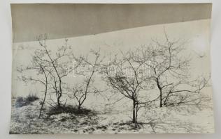 cca 1963 Krisch Béla (?-?) kecskeméti fotóművész 3 db vintage fotója a Kecskemét környéki homokdűnék...