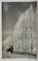 cca 1963 Medgyesi László: Winter Weg, feliratozott, vintage fotóművészeti alkotás, 38,5x25,5 cm