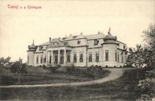 Tomajmonostora, Tomaj (Kunhegyes); Magyari kastély