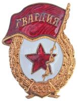 Szovjetunió ~1960-1970. "Szovjet Gárda jelvény" aranyozott, zománcozott fém jelvény csavar...