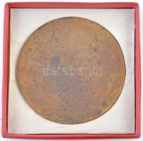 1981. "1961-1981 - MN-1110 (1. honi légvédelmi hadtest harcálláspont)" Br plakett, eredeti...