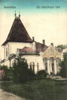 Marosillye, Ilia; Dr. Schillinger Villa / villa