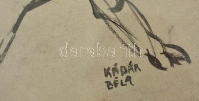 Kádár jelzéssel: Bika. Tus, papír, üvegezett keretben, 30×43cm