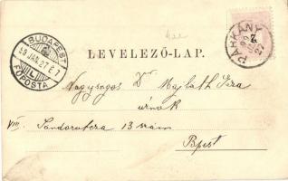 1899 Kovácspatak, Esztergom, Kovacov; Ámor forrás, kilátás a Glariettről, nyaraló szálloda, floral A...