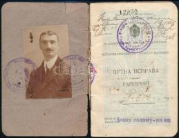 1921 Belgrád, A Szerb-Horvát-Szlovén Királyság által kiadott fényképes útlevél, sok pecséttel / passport of Kingdom of Serbs, Croats and Slovenes