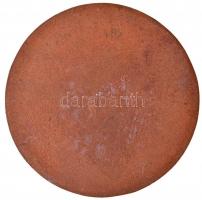 1985. "A HNF (Hazafias Népfront) VIII. Kongresszusa Budapest" Br nagyalakú plakett fa tokb...