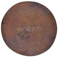 Pátzay Pál (1896-1979) (?) DN Kutyák egymás közt, Br egyoldalas plakett (73mm) T:2,2-