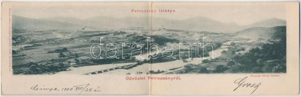 Petrozsény, Petrosani; látkép a fűrészteleppel. Grausam Károly kiadása. Honisch udvari fényképész felvétele, panorámalap / panoramacard with saw mill