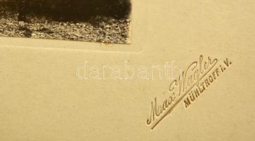 cca 1900 Családi fotó Max Wagler Mühltroff műterméből, kartonra kasírozva, kis sérüléssel, 12x17 cm