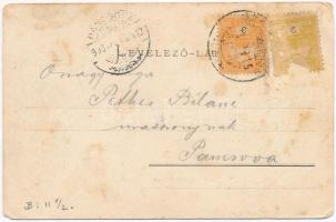 Szászsebes, Mühlbach, Sebes; Erzsébet liget, Weissörtel Adolf és Társa kiadása / park (ragasztónyom ...