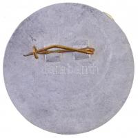 ~1980. "Jegyvizsgáló - Budapesti Közlekedési Vállalat" zománcozott fém jelvény (44mm) T:2