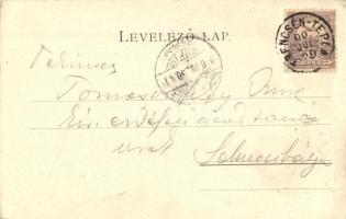 Trencsénteplic, Trencianske Teplice; Hungaria nyaraló, Tomasovszky Imre, selmecbányai akadémia tanár...