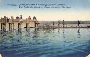 Hortobágy juh-fürdetés (EM