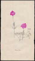 Benczúr jelzéssel: Virágok, 5 db, vegyes technika, papír, különböző méretben