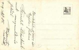 1929 Törökbálint, Magánalkalmazottak Biztosító Intézetének (Ferenc József Pénztár) szanatóriuma, par...