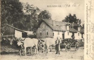 Kolozsvár, Cluj; Magyar királyi gazdasági tanintézet gazdasági udvara, ökörszekér / economic schools yard, ox cart