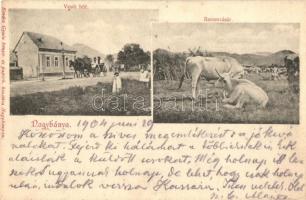 Nagybánya, Baia Mare; Vasút felé vezető út, baromvásár. Kovács Gyula kiadása / road to the railway station, cattle fair