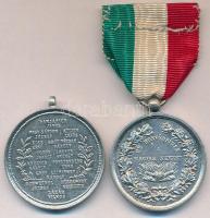 1890. "Arad 1890.oktober 6." fém emlékérem füllel (35,5mm) + DN "Függetlenségi harcz ...