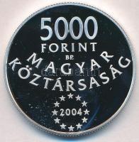 2004. 5000Ft Ag "Magyarország az Európai Unió tagja" tanúsítvánnyal T:PP 
Adamo EM190