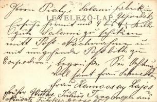 1903 Doboj, Villa Komocsay, photo (EK)