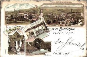 1898 Ilirska Bistrica, Illyrisch Feistritz; Voda Bistrica pod hiso A. Domtadis, Izvir, Vodopas suska reber / spa hotel, waterfall, river, floral, litho