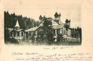 Tusnádfürdő, Baile Tusnad; Gyógyterem, Adler Alfréd kiadása / spa (EK)