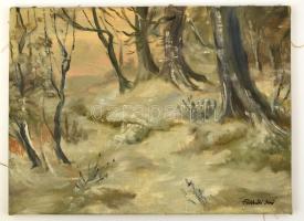 Földeáki jelzéssel: Téli erdő. Olaj, vászon, 40×55 cm