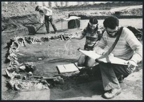1976 Sátorhely, a mohácsi csata tömegsírjainak feltárása, vintage fotó, 16,5x23 cm