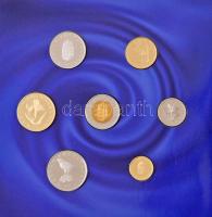 2004. 1Ft-100Ft (7xklf) forgalmi sor dísztokban, valamint 2004. 50Ft Cu-Ni "Magyarország az Eur...