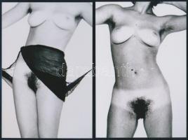 cca 1972 Frizurák kavalkádja, 13 db szolidan erotikus vintage negatívról készült mai nagyítás, 15x10...