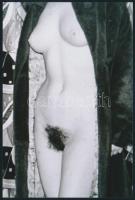 cca 1972 Frizurák kavalkádja, 13 db szolidan erotikus vintage negatívról készült mai nagyítás, 15x10...