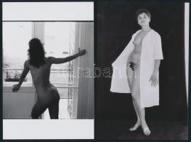 cca 1982 Korlátok nélkül, 13 db szolidan erotikus vintage negatívról készült mai nagyítás, 15x10 cm ...