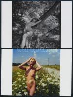 cca 1979 Ruha nélkül - szabadon, 13 db vintage negatívról készült mai nagyítás, 15x10 cm / 13 erotic...