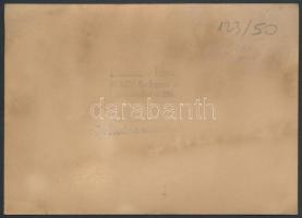 cca 1960-1970 Linzbauer Tamás: Szentendrei HÉV, fotó, hátulján pecséttel jelzett, 10,5×14 cm