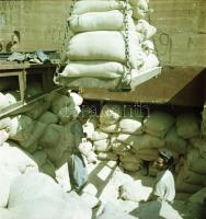 cca 1954 Budapest, a Csepeli Szabadkikötőben készített 10 db vintage negatív, Kotnyek Antal (1921-19...