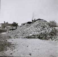 cca 1958 Kecskeméti Parkettagyár, 7 db vintage negatív Medgyesi László hagyatékából, 6x6 cm és 4x6 c...