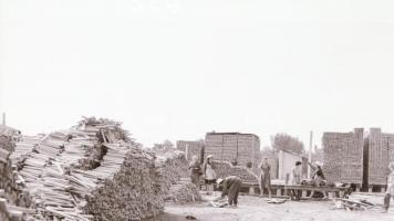 cca 1958 Kecskeméti Parkettagyár, 7 db vintage negatív Medgyesi László hagyatékából, 6x6 cm és 4x6 c...