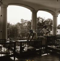 cca 1968 Kecskeméti utcák, házak, látképek, 13 db vintage negatív Medgyesi László hagyatékából, 6x6 ...