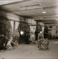 cca 1968 Kecskeméti utcák, házak, látképek, 13 db vintage negatív Medgyesi László hagyatékából, 6x6 ...