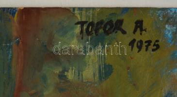 Topor András (1944-1997): Ülő akt. Olaj, farost, jelzett, 62×82 cm